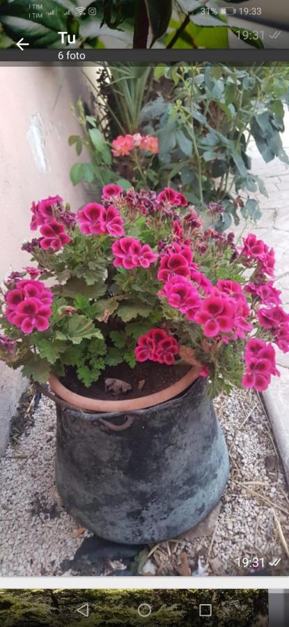 La Dimora Di Nonno Nuccio 호텔 라구사 외부 사진