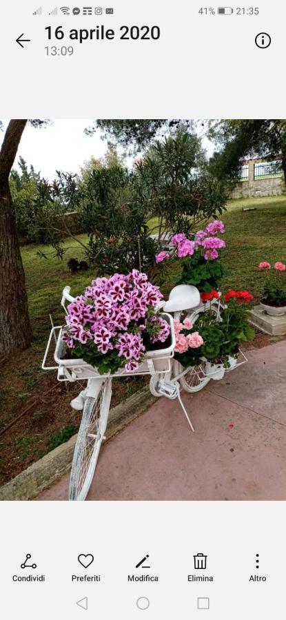 La Dimora Di Nonno Nuccio 호텔 라구사 외부 사진
